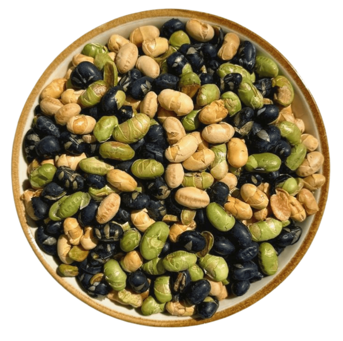 GovindJee Protein Beans